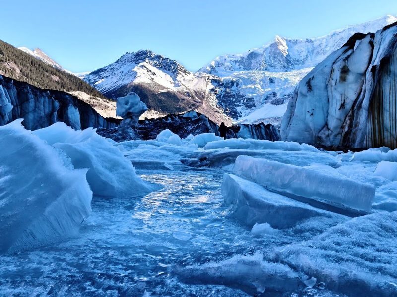 8-Day Nanga Parbat Peak and Lhasa Cultural Tour in Nyingchi - Practical checks before you book