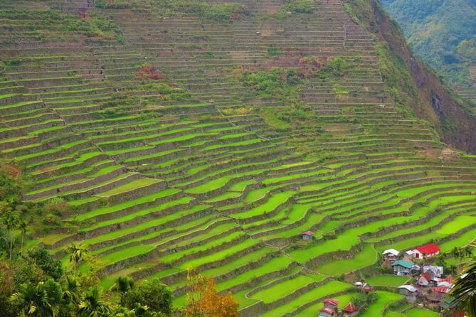 8-Day Palawan, Boracay & Cebu Islands in the Philippines Package - Final Thoughts: Is This Tour for You?