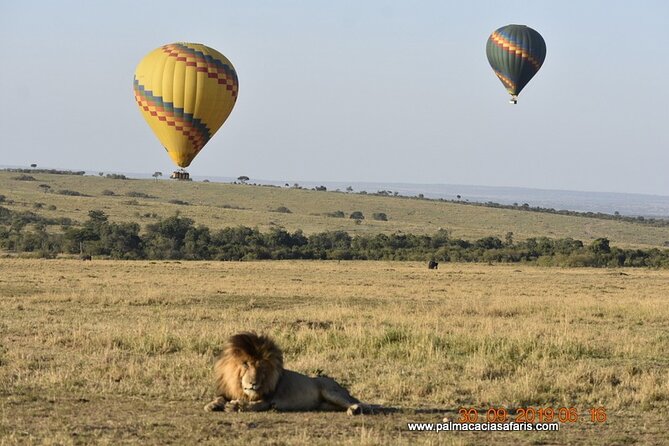 8-Day Private Safari Tour in Nairobi Kenya - Cancellation Policy Details