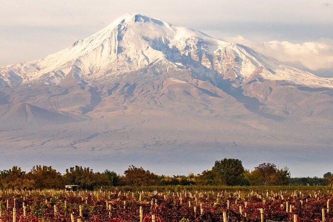 8 Day Private Self Drive Tour in Armenia - Customer Reviews