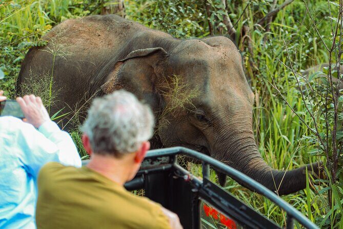 8 Day Private Sri Lanka Tour with Chauffeur - Why This Tour Offers Great Value