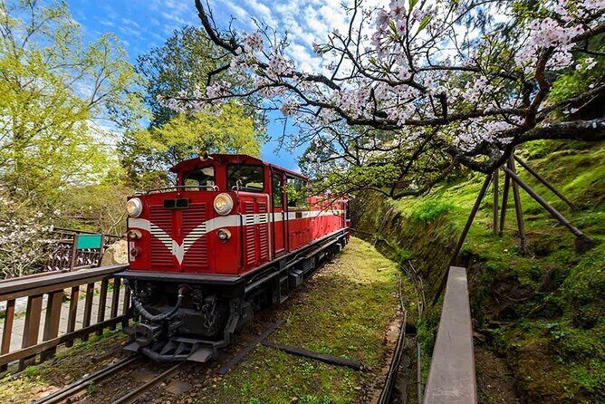 8-Day Private Taiwan Grand Island Discovery - A Deep Dive into the Itinerary