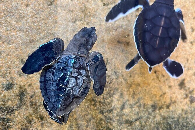 8-Day Private Tour Package with Personal Driver and Vehicle - Final Thoughts