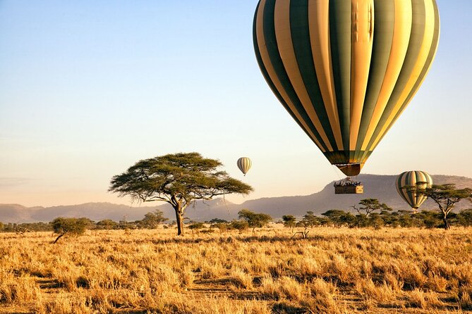 8 Day Private Wildebeest Migration Safari Serengeti Ngorongoro - Itinerary Overview