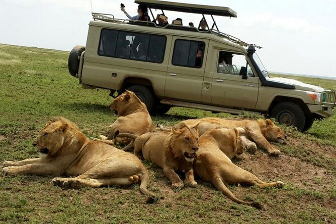 8 Day Private Wildebeest Migration Safari Serengeti Ngorongoro - Frequently Asked Questions