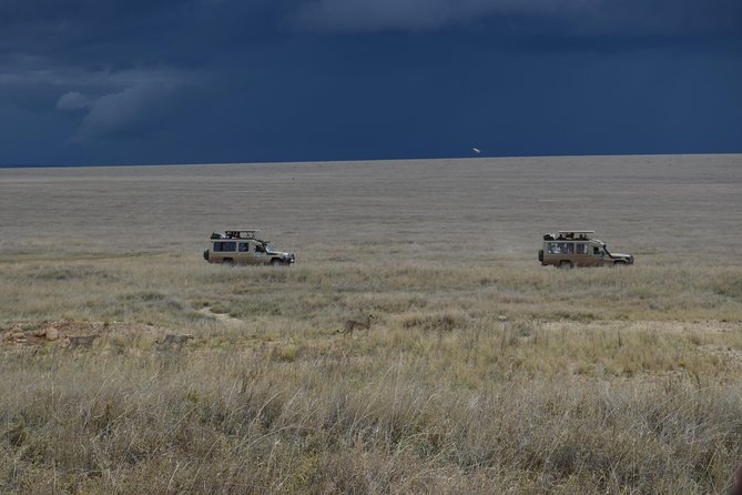 8 Day Private Wildebeest Migration Safari Serengeti Ngorongoro - The Sum Up