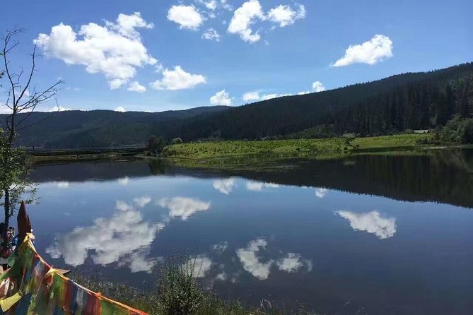 8-Day Private Yunnan Tour to Kunming, Dali, Lijiang and Shangri-La - Customer Reviews