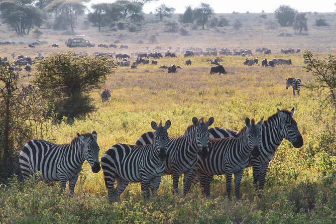 8 Day Safari The Best of Tanzania & Lake Eyasi - Lake Eyasi Exploration