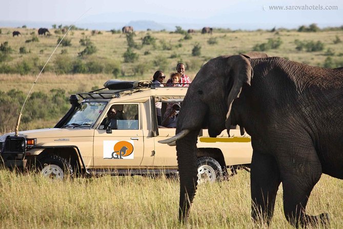 8-Day Safari Tour of Kenya and Tanzania From Nairobi - Pickup and Logistics