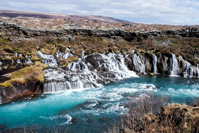 8-Day Small Group Tour Around Iceland in Minibus From Reykjavik - Traveler Reviews