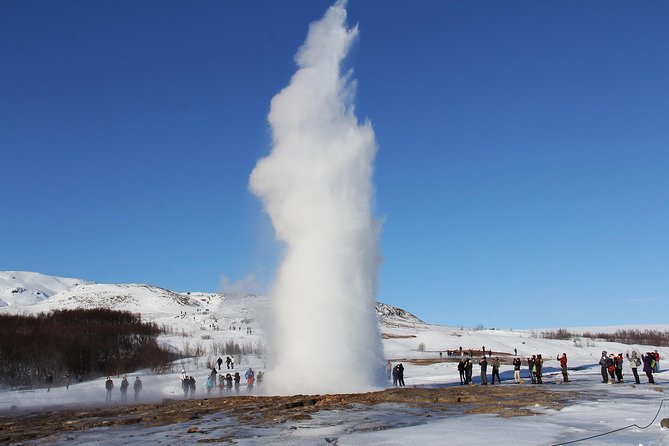 8-Day Small Group Tour Around Iceland in Minibus From Reykjavik - Transportation