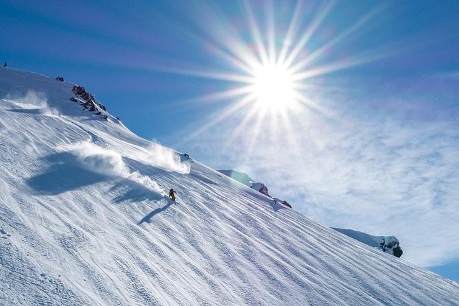8-Day Snow Safari Tour - Reviews