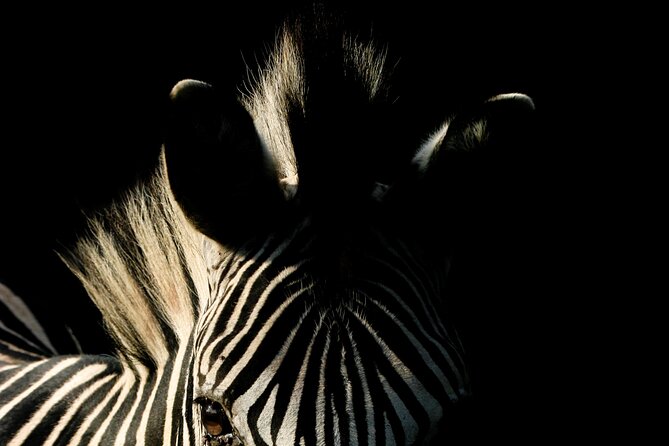 8 Day South Africa Garden Route to Kruger National Park - Day 2: Exploring the Garden Route