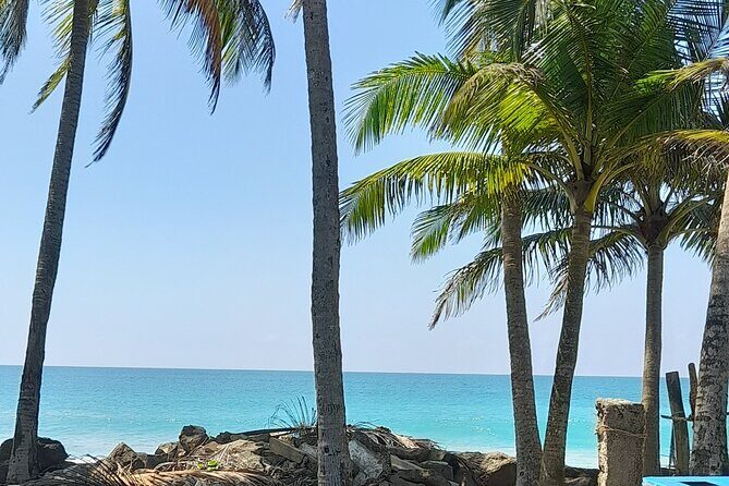 8-Day Sri Lanka Highlights Tour with Breakfast & Private Car - Introduction