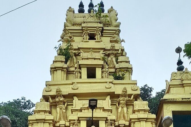 8-Day Sri Lanka Highlights Tour with Breakfast & Private Car - Good To Know