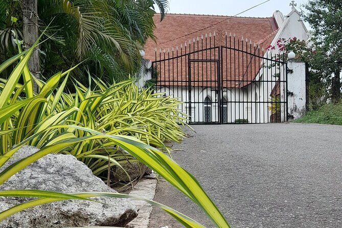 8-Day Sri Lanka Highlights Tour with Breakfast & Private Car - Final Thoughts