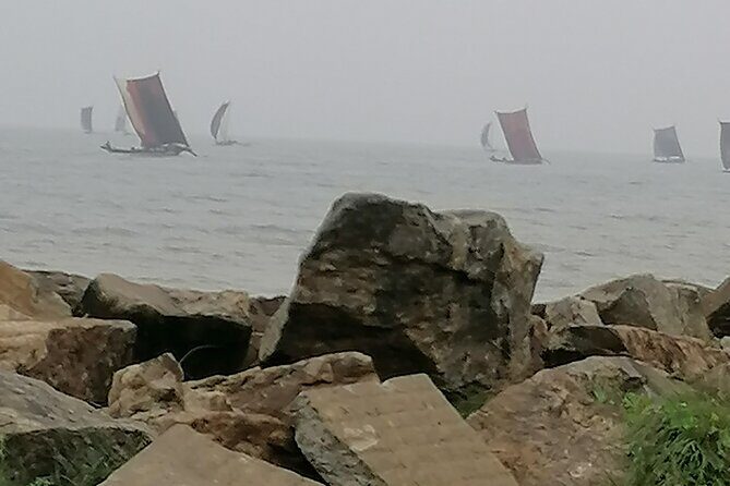 8-Day Sri Lanka Highlights Tour with Breakfast & Private Car - Final Thoughts