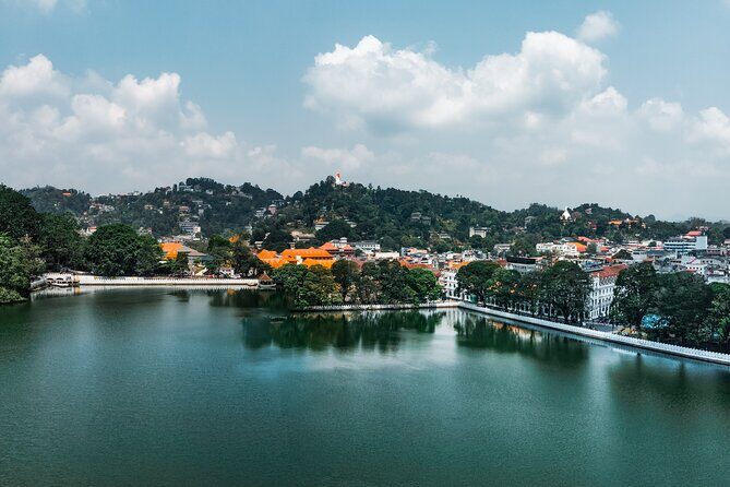 8-Day Sri Lanka Tour from Colombo  Sigiriya, Kandy & Mirissa - Who Is This Tour Best For?