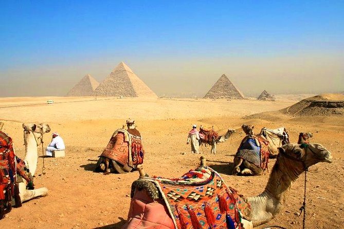 8 Day Stunning Cairo Pyramids and Nile Cruise and Hurghada All Inclusive - Tour Pricing and Guarantee