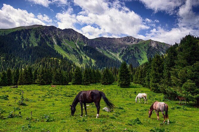 8 Day Tour in Nomadic Life of Kyrgyzstan - FAQ