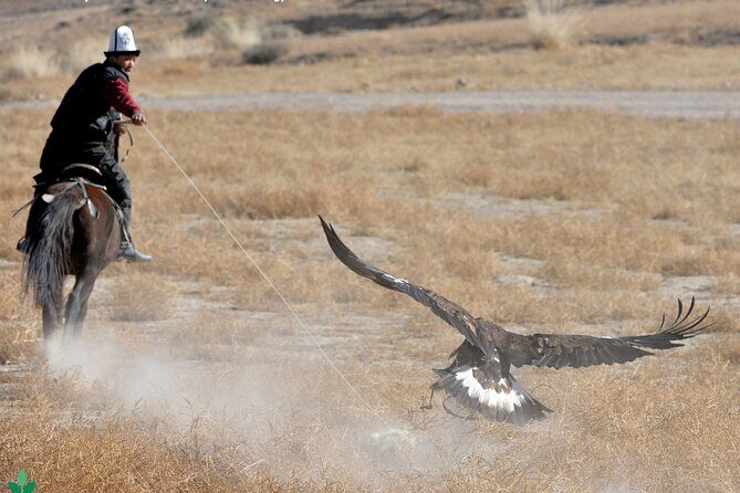 8 Day Tour in Nomadic Life of Kyrgyzstan - A Closer Look at the Itinerary