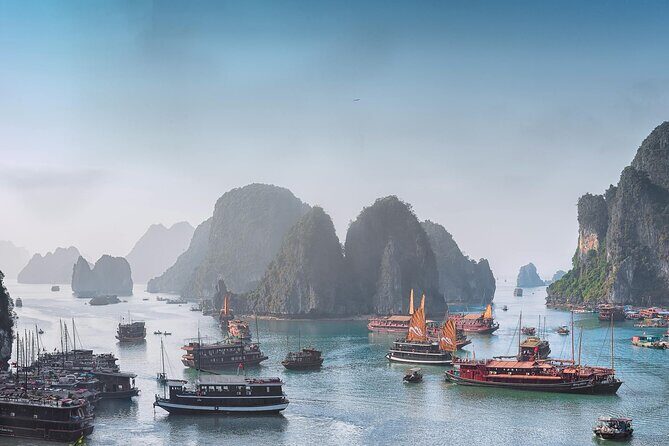8 Day Tour in Vietnam from Ho Chi Minh to Hanoi - Transportation & Group Dynamics  