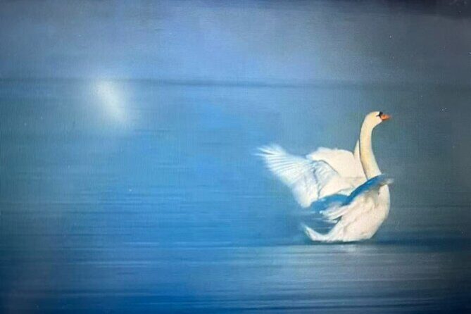 8-Day Tour of Ili, Xinjiang - Frequently Asked Questions