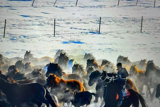 8-Day Tour of Ili, Xinjiang - Final Thoughts