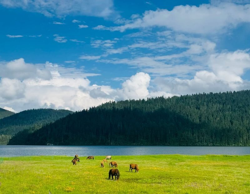 8-Day Tour of Yunnan Kunming, Dali, Lijiang & Shangri-La - What the price covers, and what it does not
