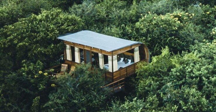 8 Day Tour Sri Lanka With Wildlife & Outdoor Experiences - Itinerary Highlights