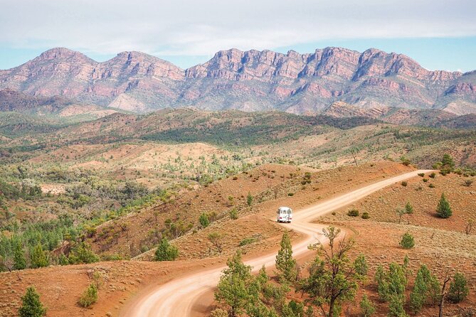 8 Day Uluru to Adelaide Cultural and Adventure Tour - Important Information and Tips