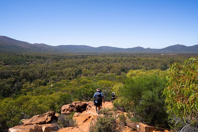 8 Day Uluru to Adelaide Cultural and Adventure Tour - Common Questions