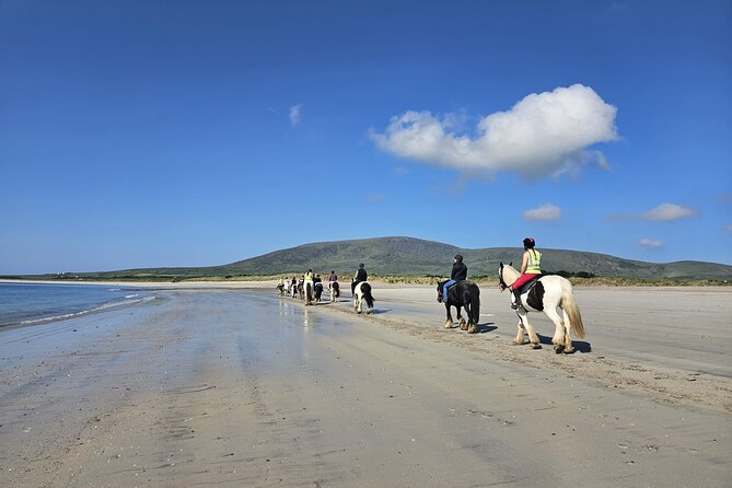 8 Day Vagabond Wild Irish Rover Small Group Tour - Day 6: Killarney National Park & Muckross House