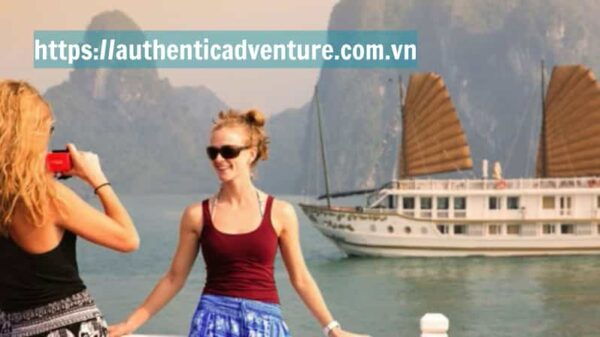 8-Day Vietnam Itinerary | Explore Vietnam's Top Destinations - Halong Bay Cruise