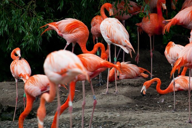 8 Days / 7 Nights 2021 / 2022 Wildebeest Migration Safari - Maasai Mara Reserve - Accommodation Details