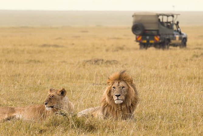 8 Days 7 Nights Luxury Safari by Jeep (Minimum 2 Persons) - Accommodation Details