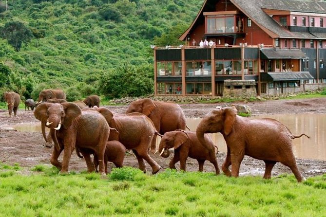 8 Days 7 Nights Luxury Safari by Jeep (Minimum 2 Persons) - Safari Excursions
