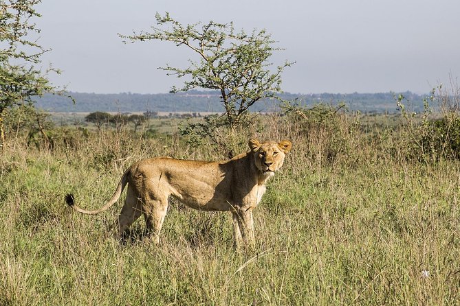 8 Days 7 Nights Luxury Safari by Jeep (Minimum 2 Persons) - Price and Cancellation Policy