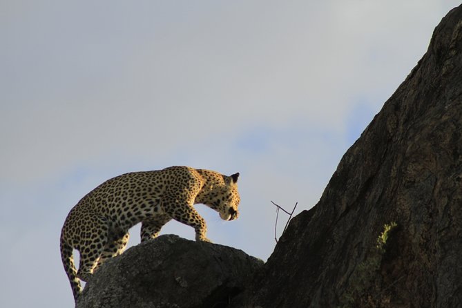 8 Days 7 Nights Private Lodge Safari - Reviews