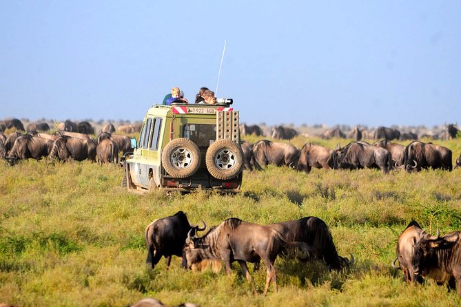 8 Days 7 Nights Tanzania Wildlife & Culture Lodge Safari - Cultural Experiences