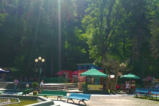 8 Days/7 Nights Tbilisi-Kutaisi-Batumi Tour in Georgia All-inclusive - Itinerary Highlights