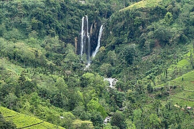 8 Days and 7 Nights Sri Lanka Tour - FAQ