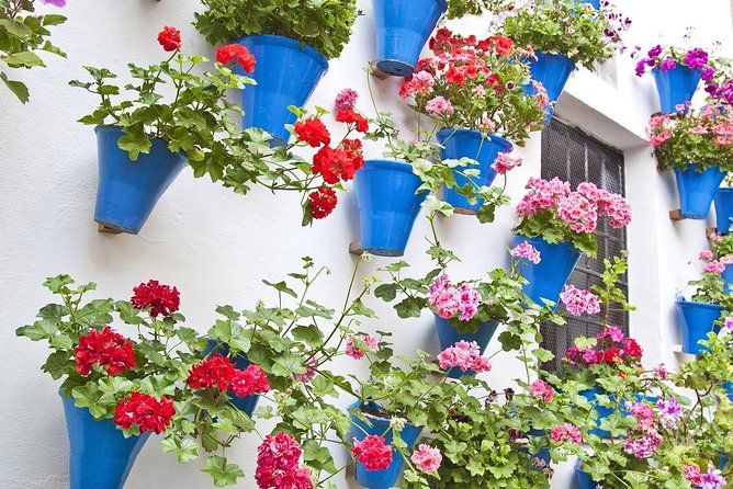 8 Days Andalusian Feelings From Malaga - Day 2: Discovering Granadas Alhambra