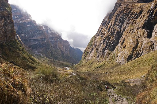 8 Days Annapurna Base Camp Hot Spring Trek - Day 3: Trek to Ghorepani