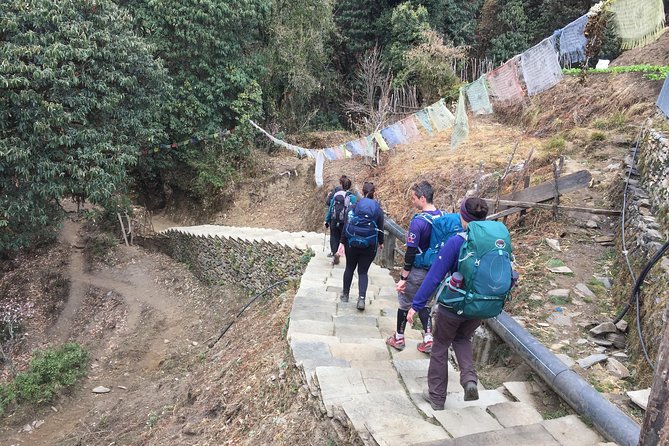 8 Days Annapurna Panorama Trek - Background