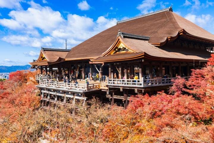 8 Days Best Of Japan Family Small Group by UME Travel - Tokyo to Osaka Tour - Kyoto by bullet train, then two days of temples