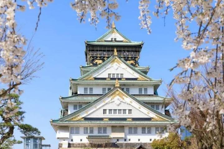 8 Days Best Of Japan Family Small Group by UME Travel - Tokyo to Osaka Tour - Nara’s deer and Osaka after dark