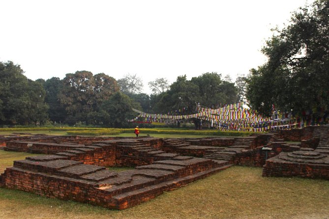 8 Days Buddhist Pilgrimage Lumbini & Jungle Safari Chitwan National Park Tour - Transportation and Logistics