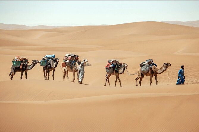 8 Days Camel Trek at the Desert in Morocco - Good To Know