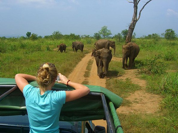 8 Days Classic Tour Sri Lanka - Wildlife Encounters